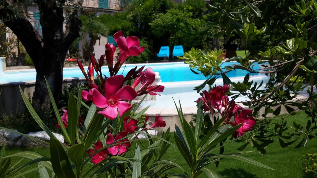 ונס Villa Mia מראה חיצוני תמונה